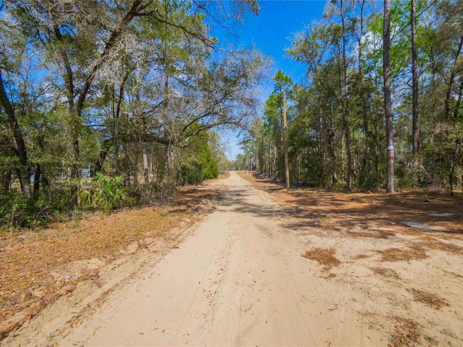5500 S CHEROKEE TER, INVERNESS, FL — photo 17