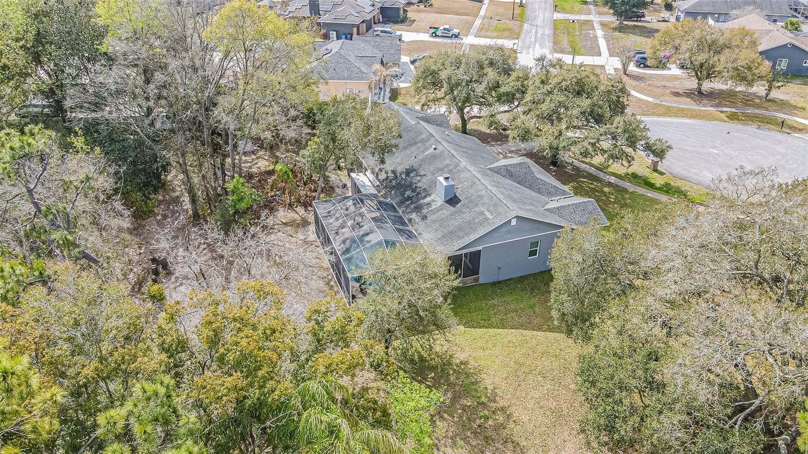 12211 COUNT PL, THONOTOSASSA, FL — photo 43