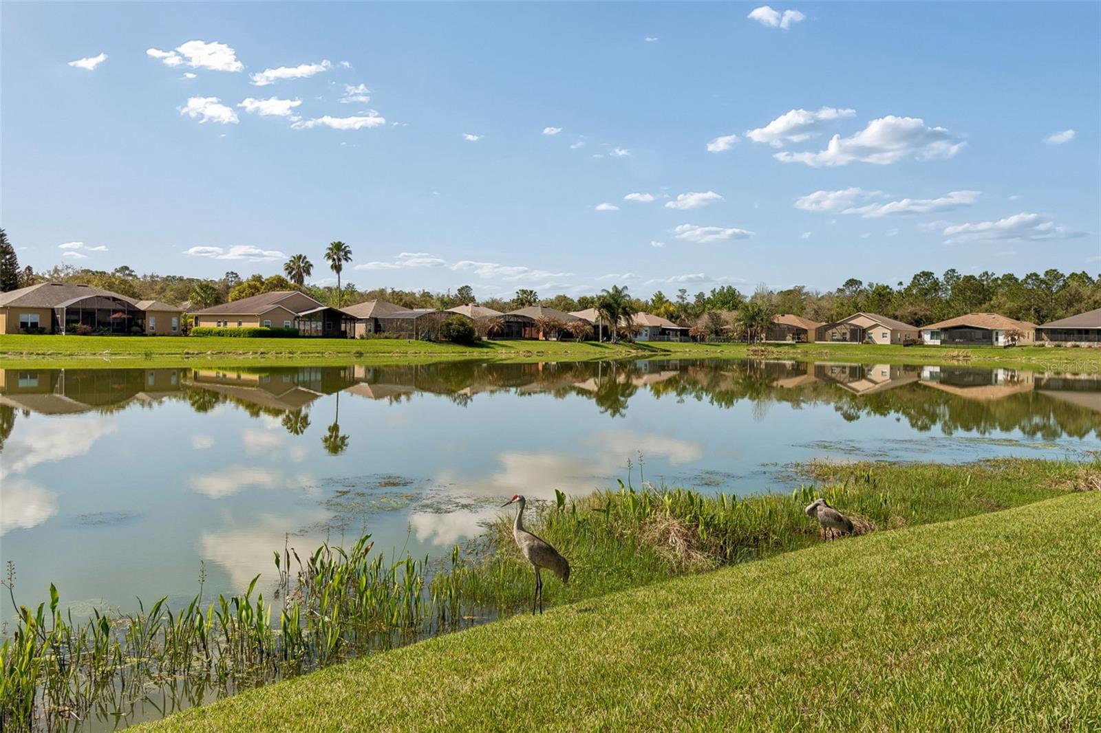 813 GLENDORA RD, KISSIMMEE, FL — photo 44