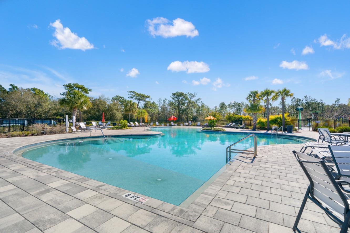 6199 WANDERING WILLOW DR, WESLEY CHAPEL, FL — photo 46
