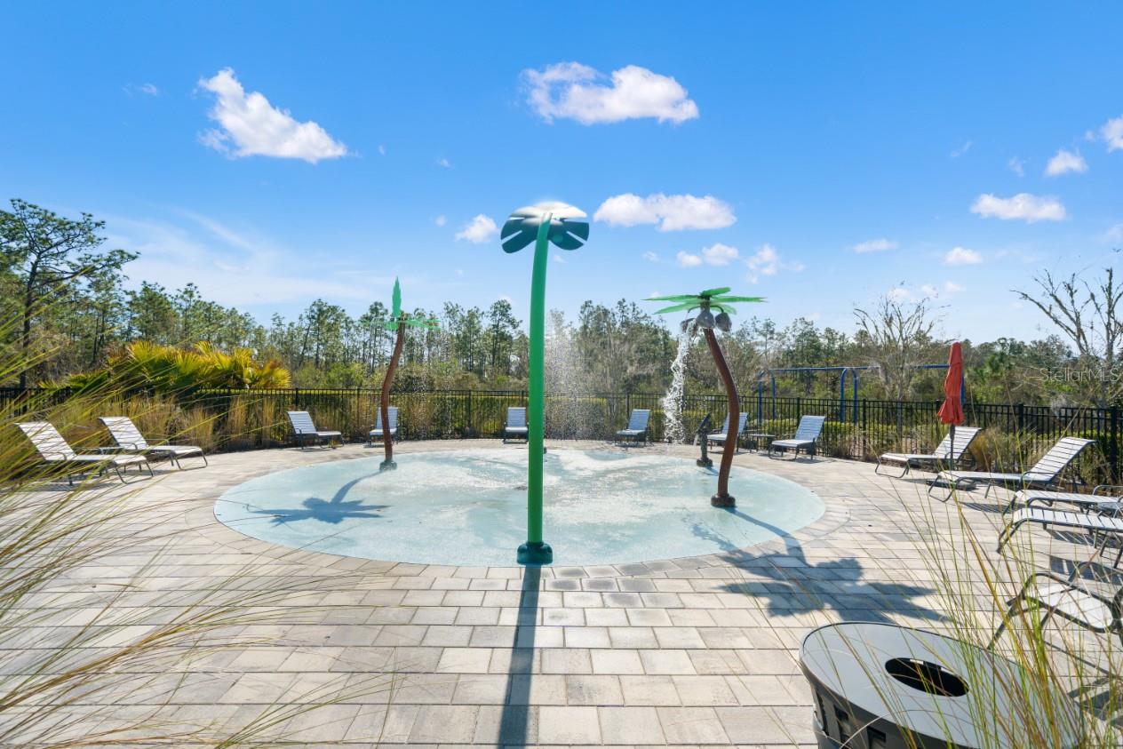 6199 WANDERING WILLOW DR, WESLEY CHAPEL, FL — photo 47