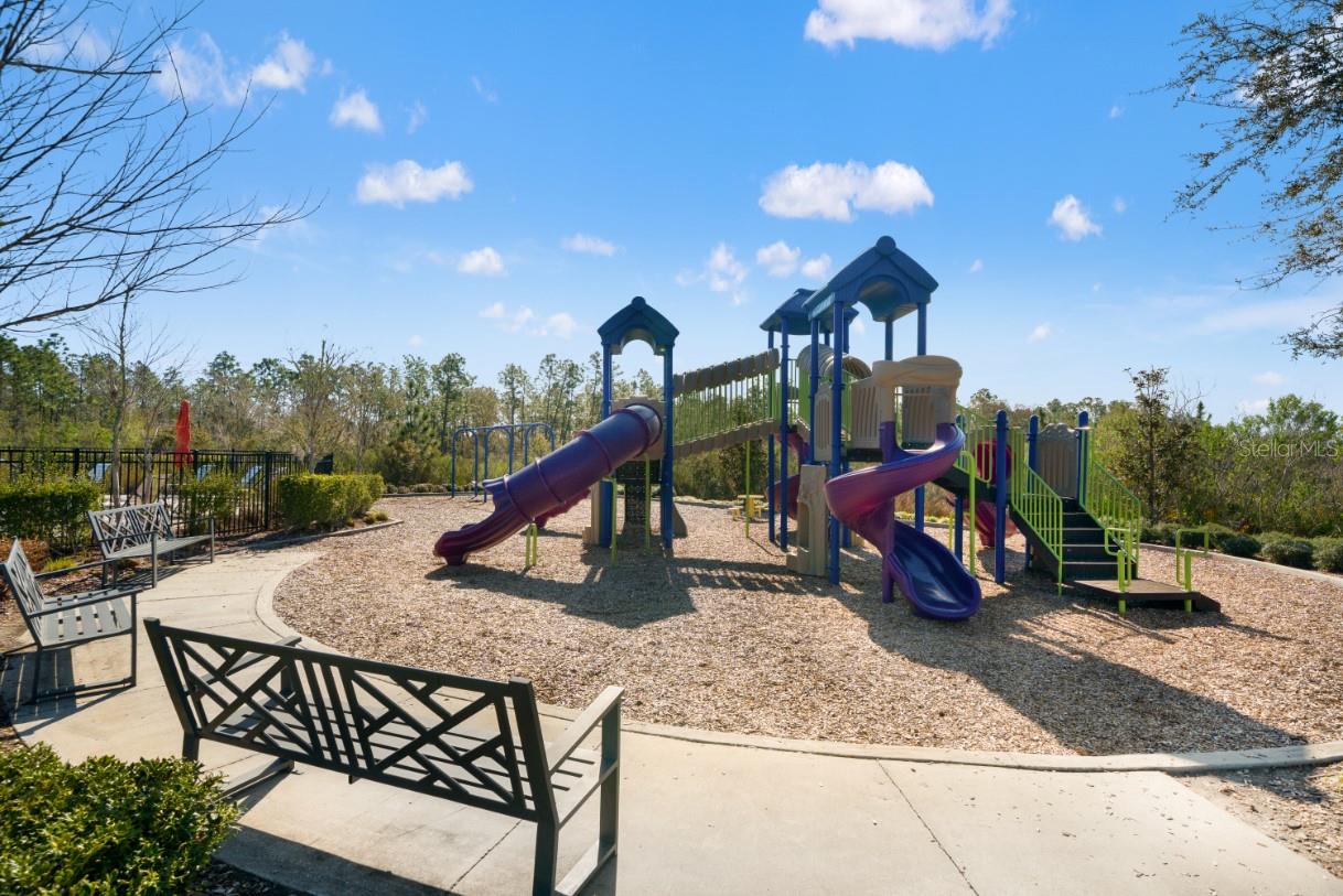 6199 WANDERING WILLOW DR, WESLEY CHAPEL, FL — photo 48