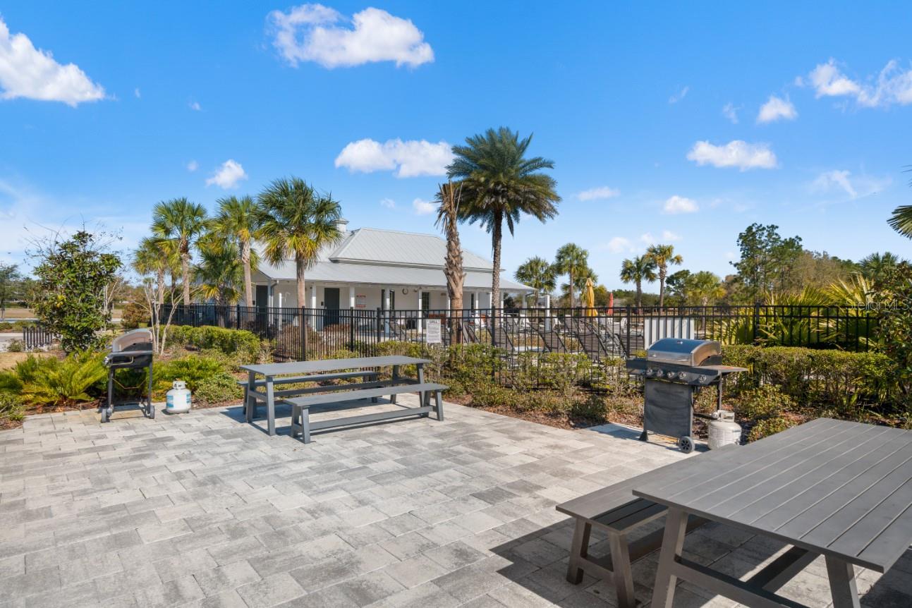 6199 WANDERING WILLOW DR, WESLEY CHAPEL, FL — photo 51