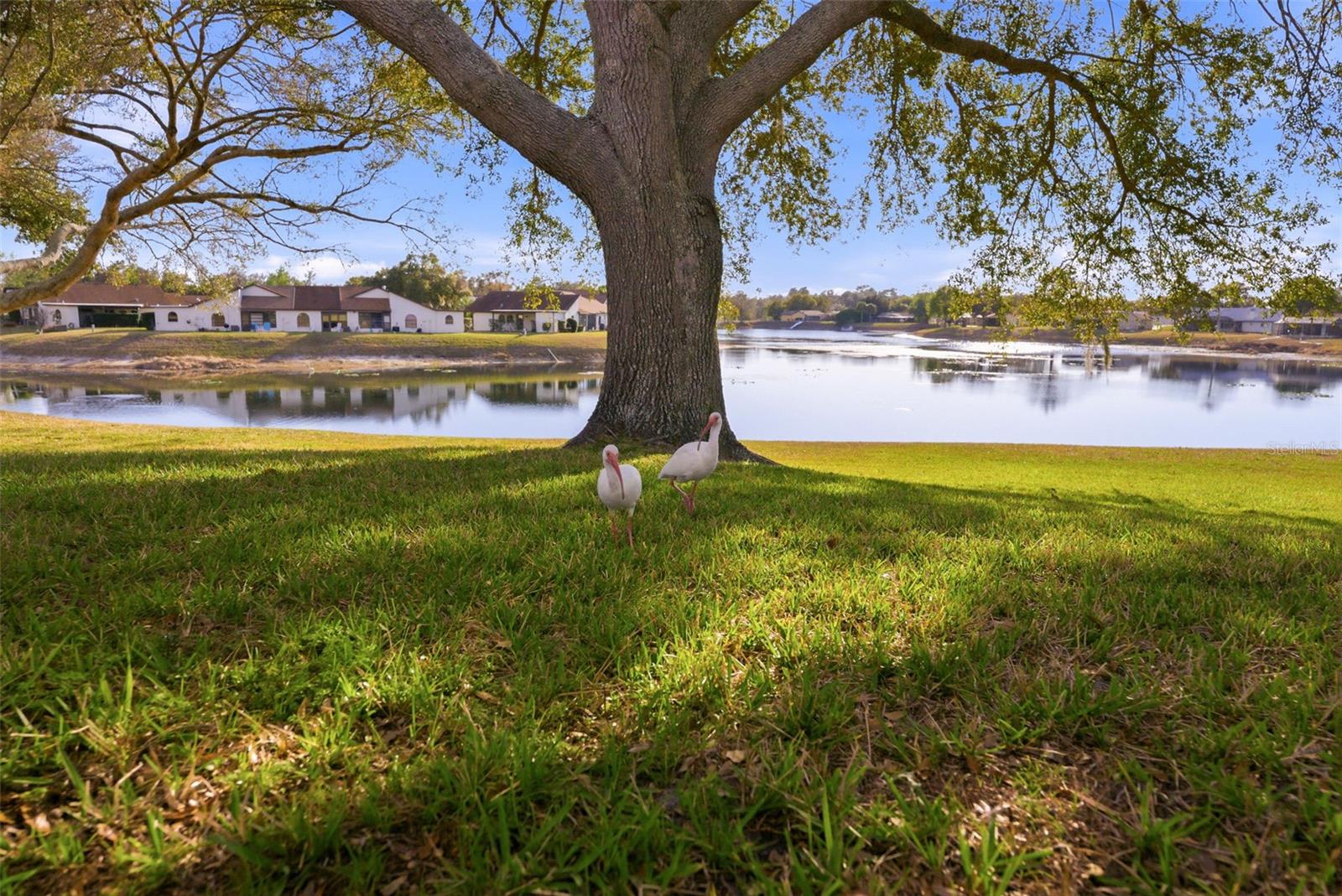 7406 HEATHER WALK DR, WEEKI WACHEE, FL — photo 5