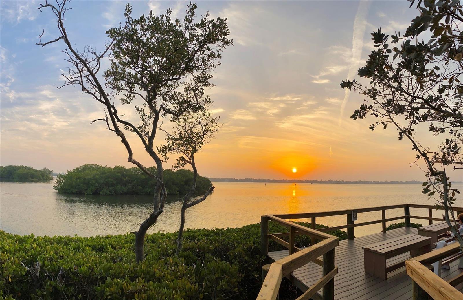 1715 PELICAN COVE RD #GL438, SARASOTA, FL — photo 55