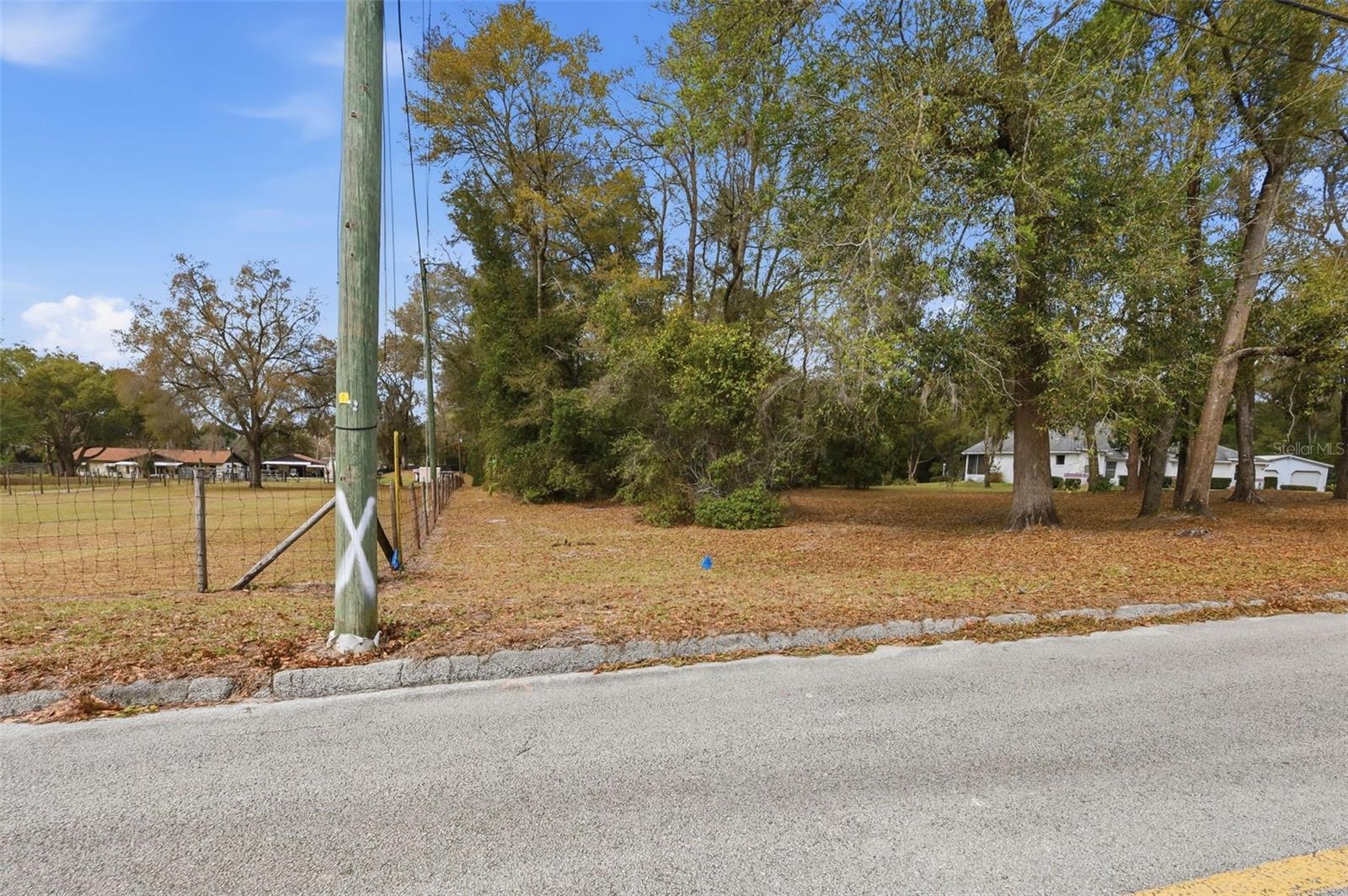 N RIDGEWOOD AVE, DELAND, FL — photo 6