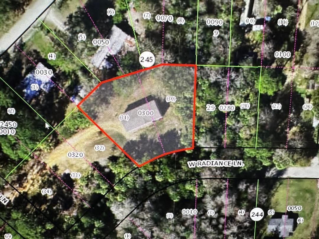 7697 W RADIANCE LN, HOMOSASSA, FL — photo 4