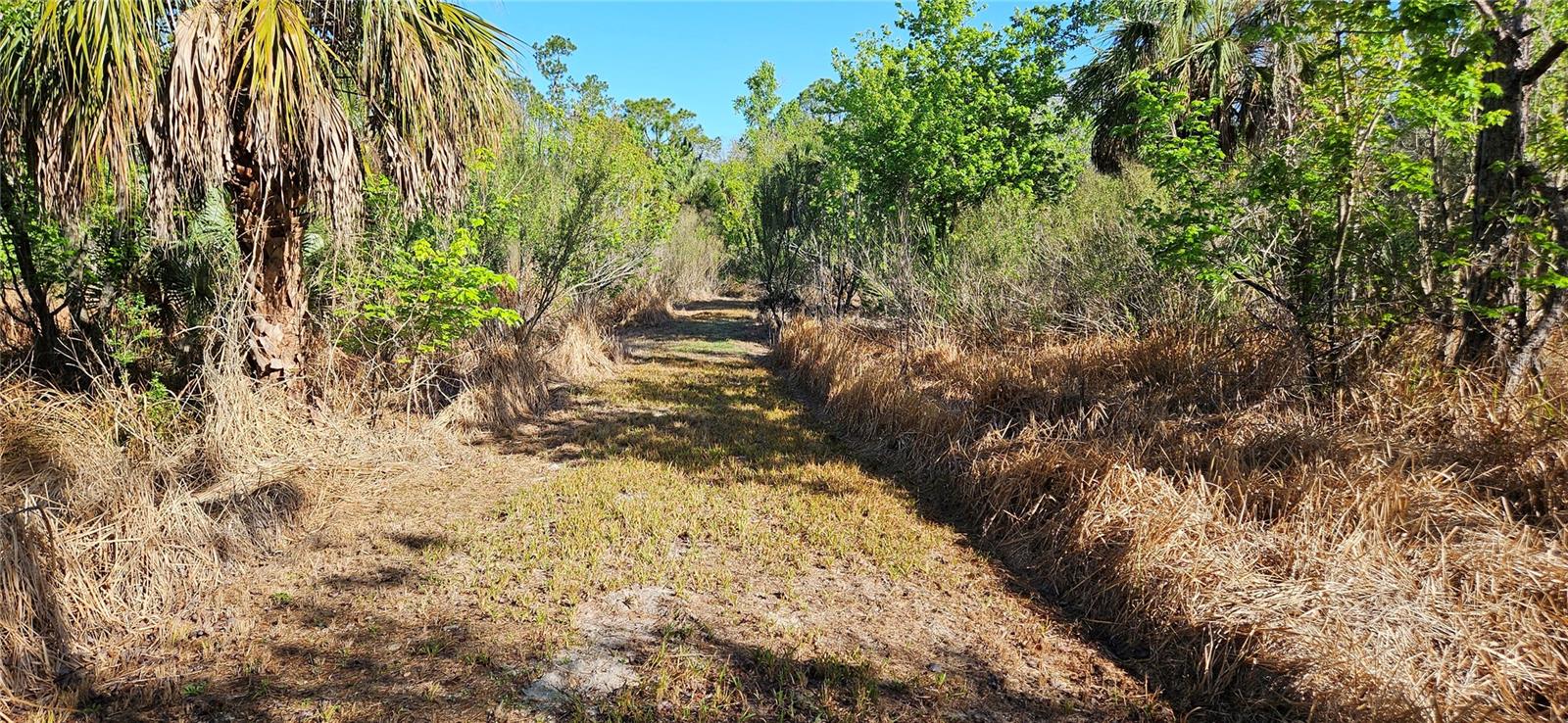 , LAKE WALES, FL — photo 3