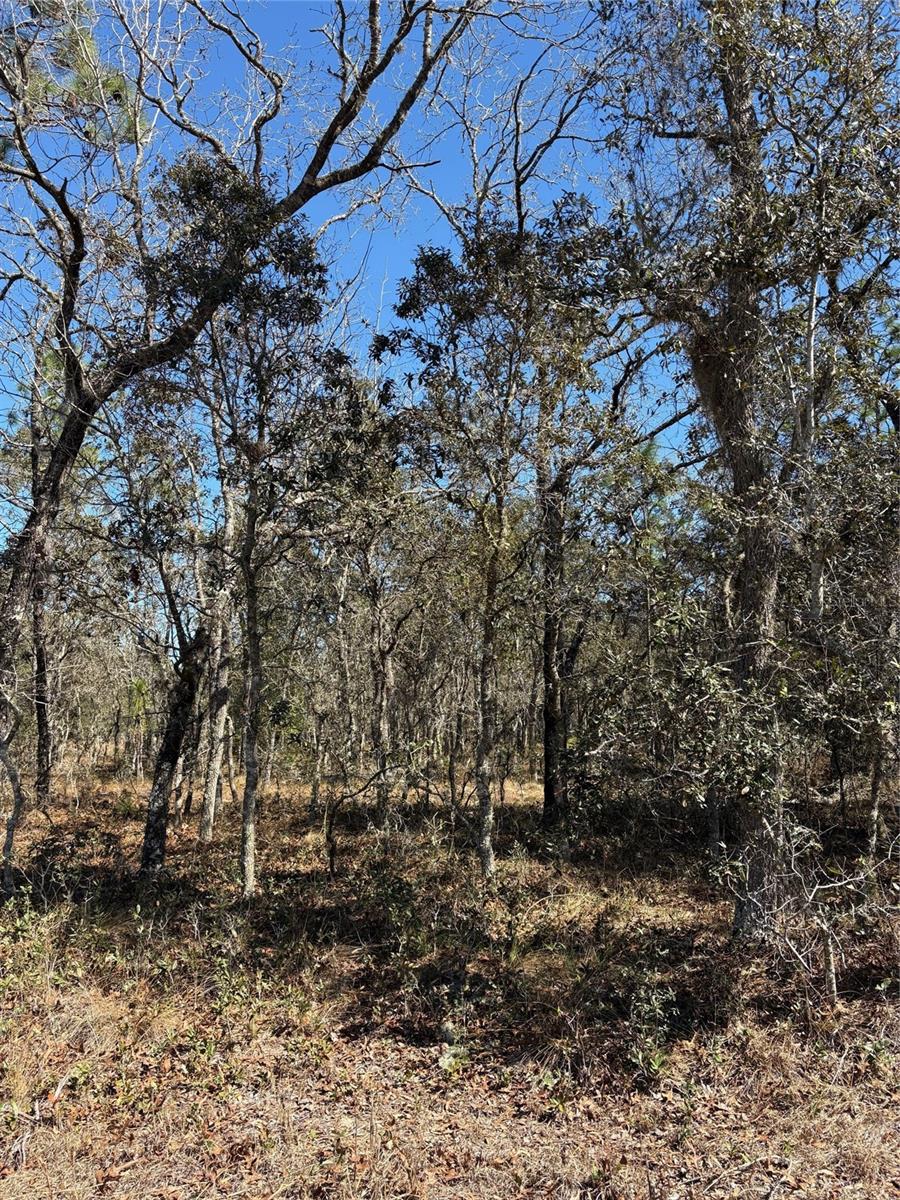 TBA SE 134TH TERRACE TER, DUNNELLON, FL