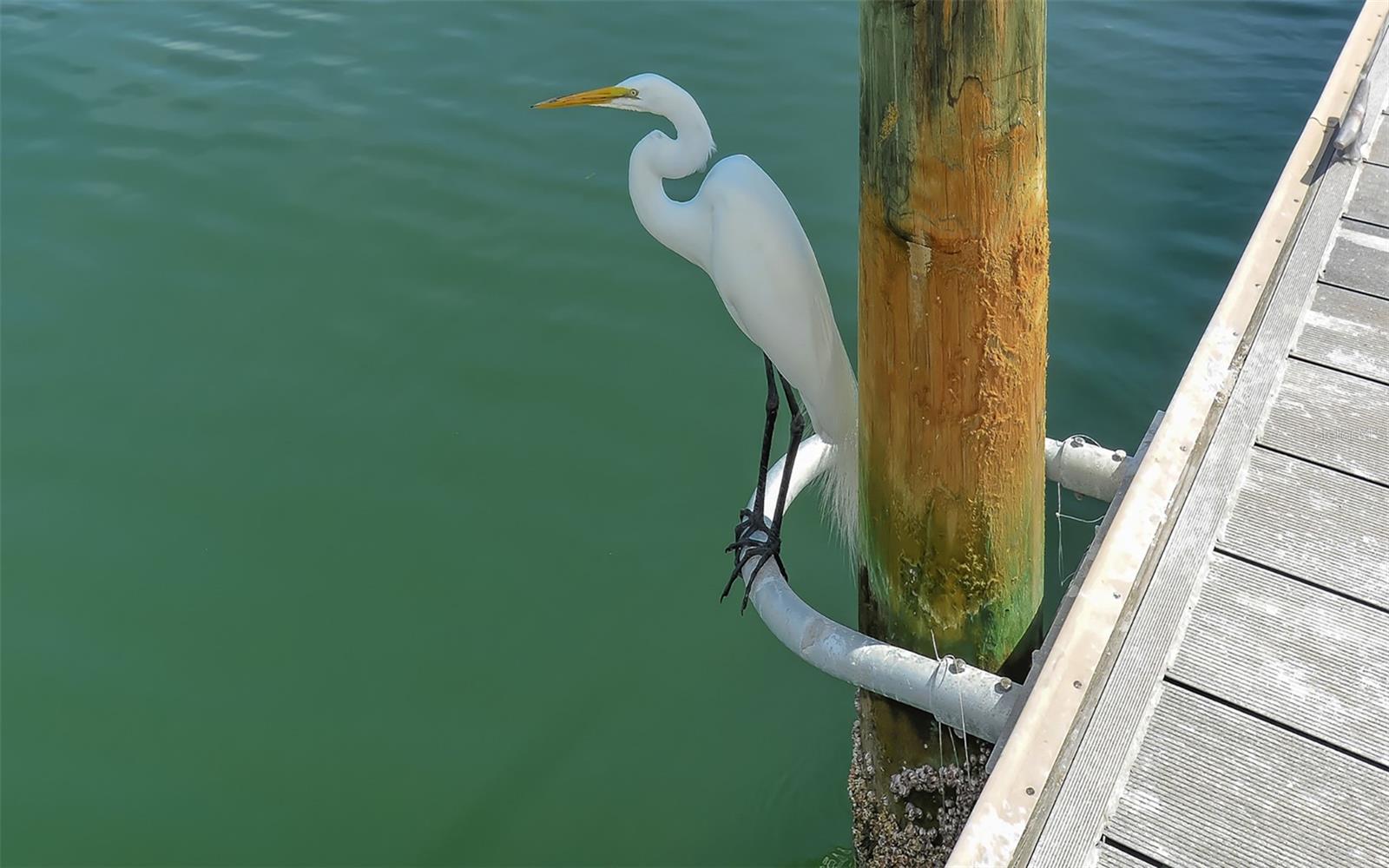 , LONGBOAT KEY, FL — photo 66