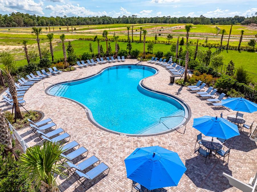 12449 WHISK CT, HUDSON, FL — photo 32