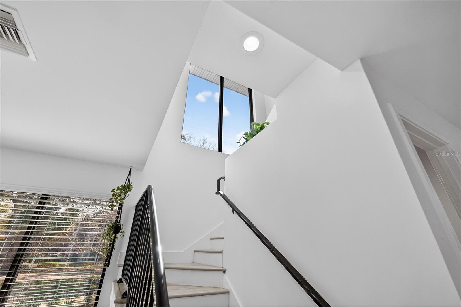 8706 PALM RANCHES PL, TAMPA, FL — photo 16