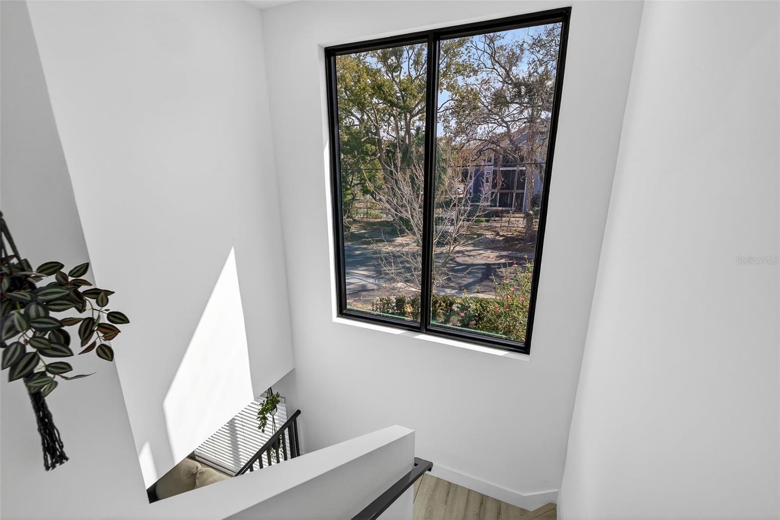 8706 PALM RANCHES PL, TAMPA, FL — photo 17