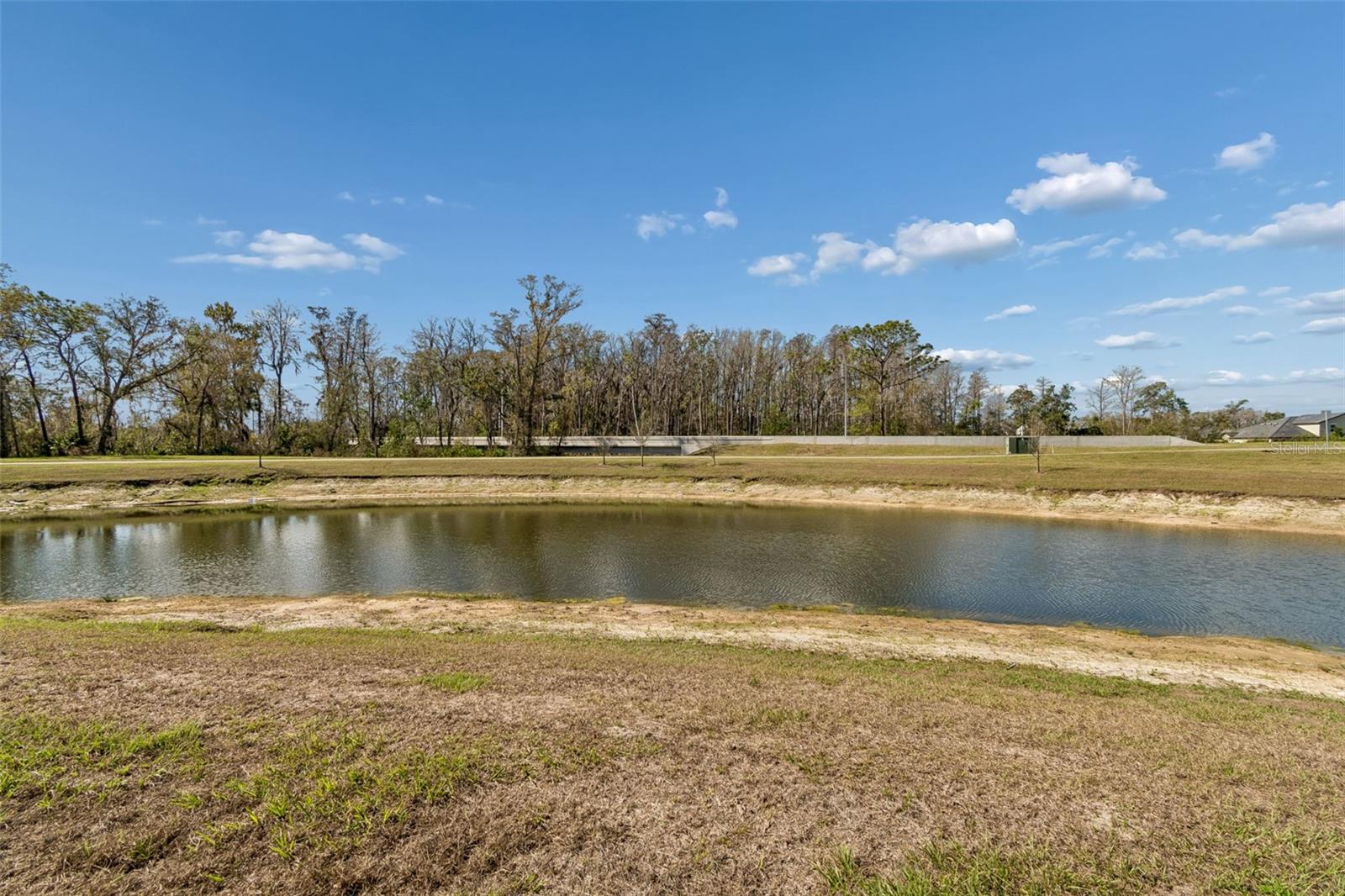 11032 CRESCENT DEER DR, LAND O LAKES, FL — photo 8