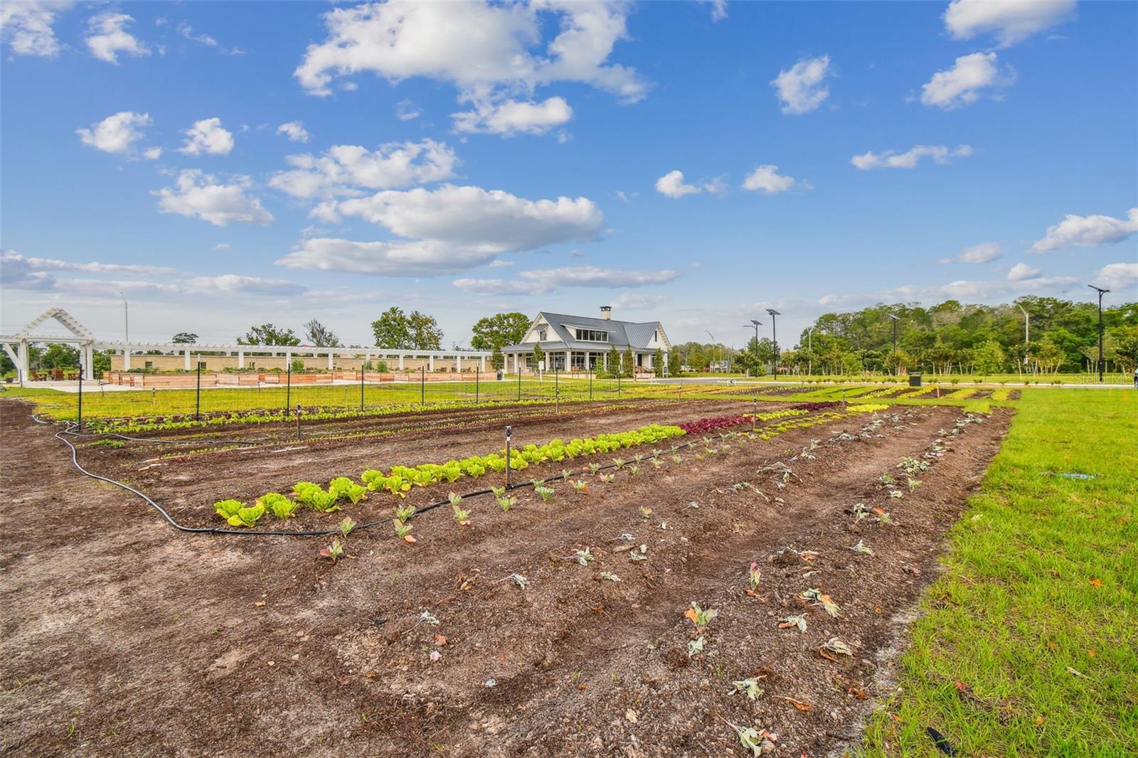 11032 CRESCENT DEER DR, LAND O LAKES, FL — photo 54