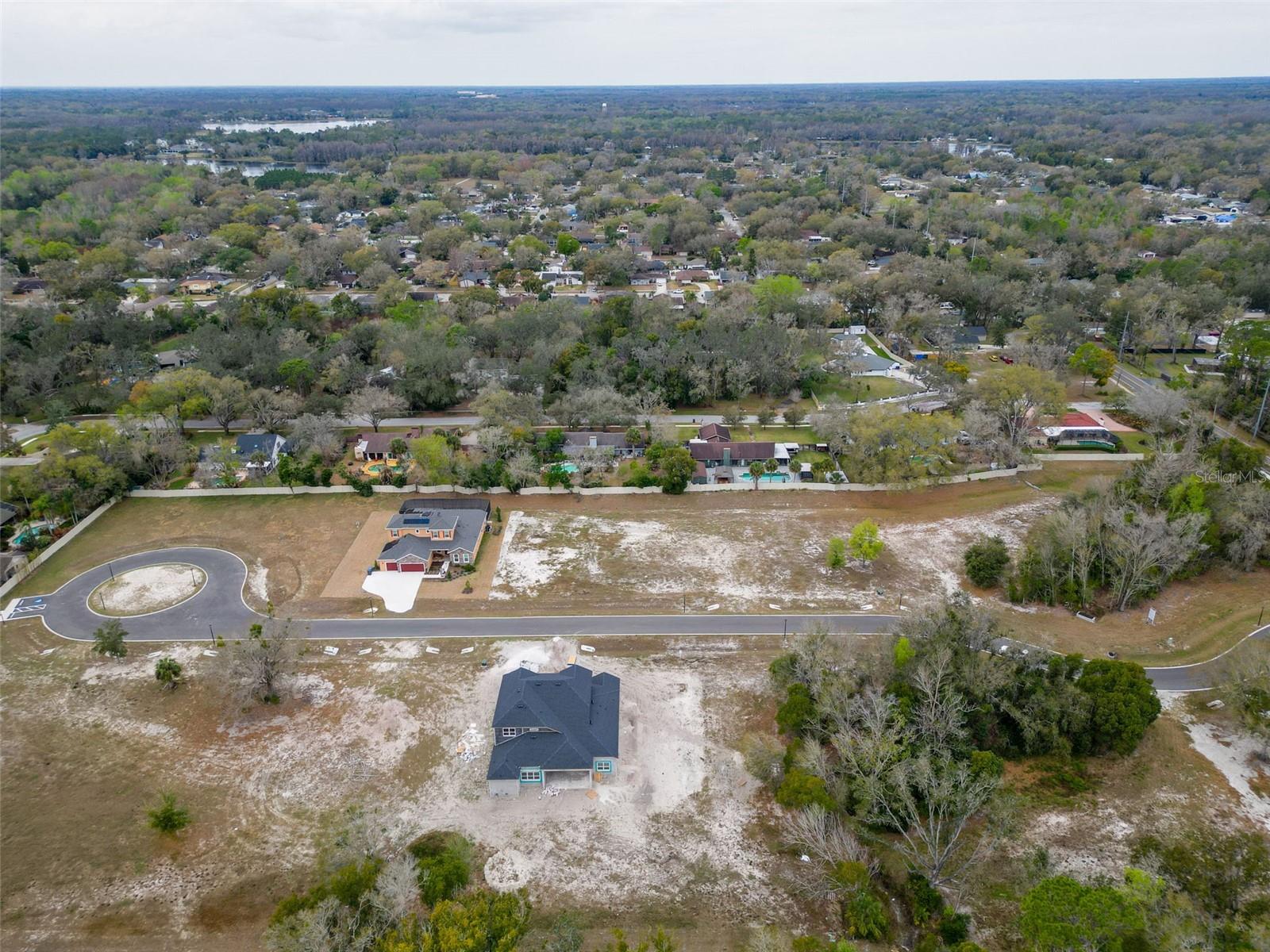 18442 PURPLE CREEK LN, LUTZ, FL — photo 2