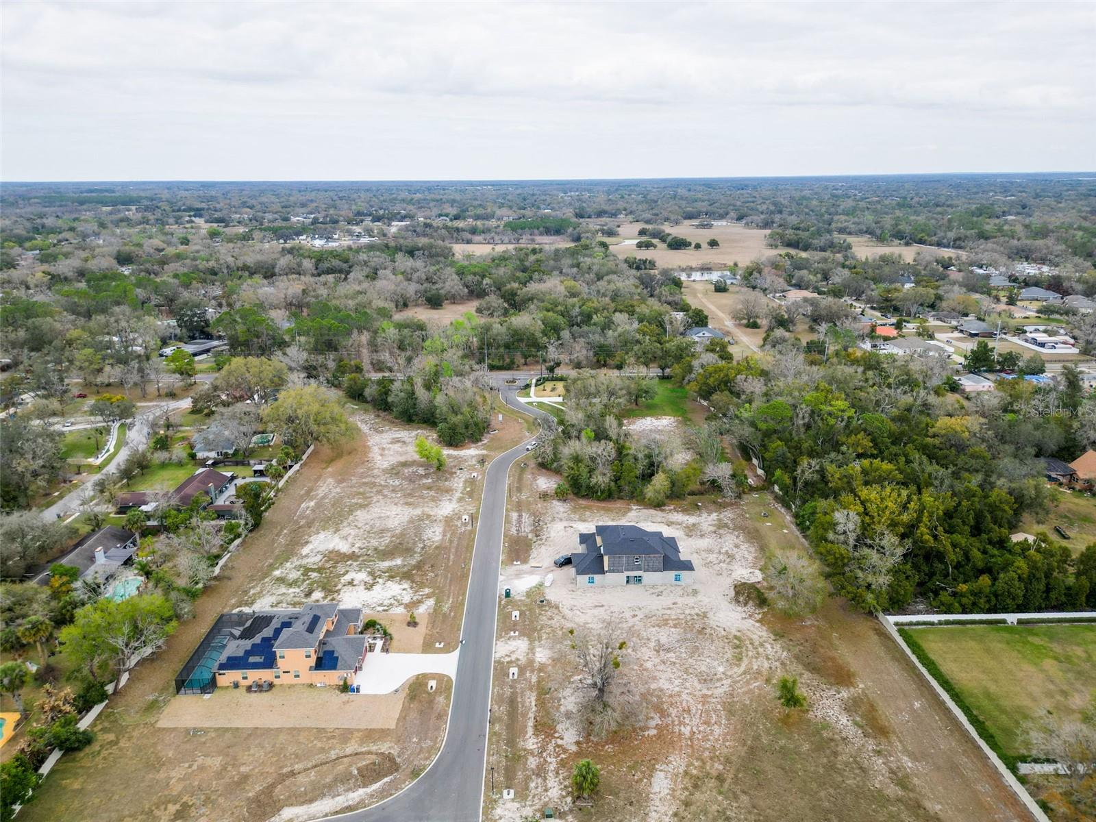18442 PURPLE CREEK LN, LUTZ, FL — photo 3