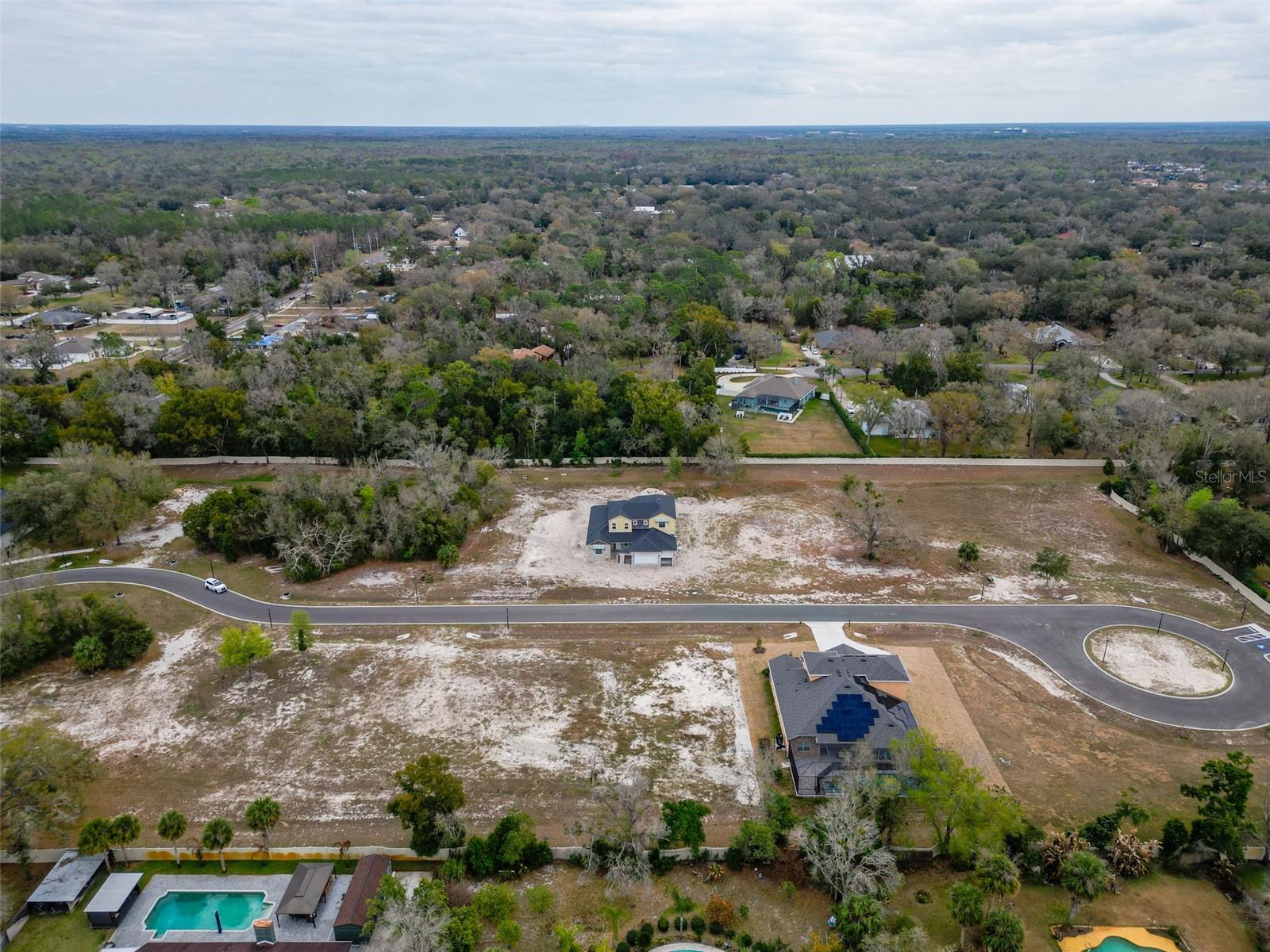 18442 PURPLE CREEK LN, LUTZ, FL — photo 4