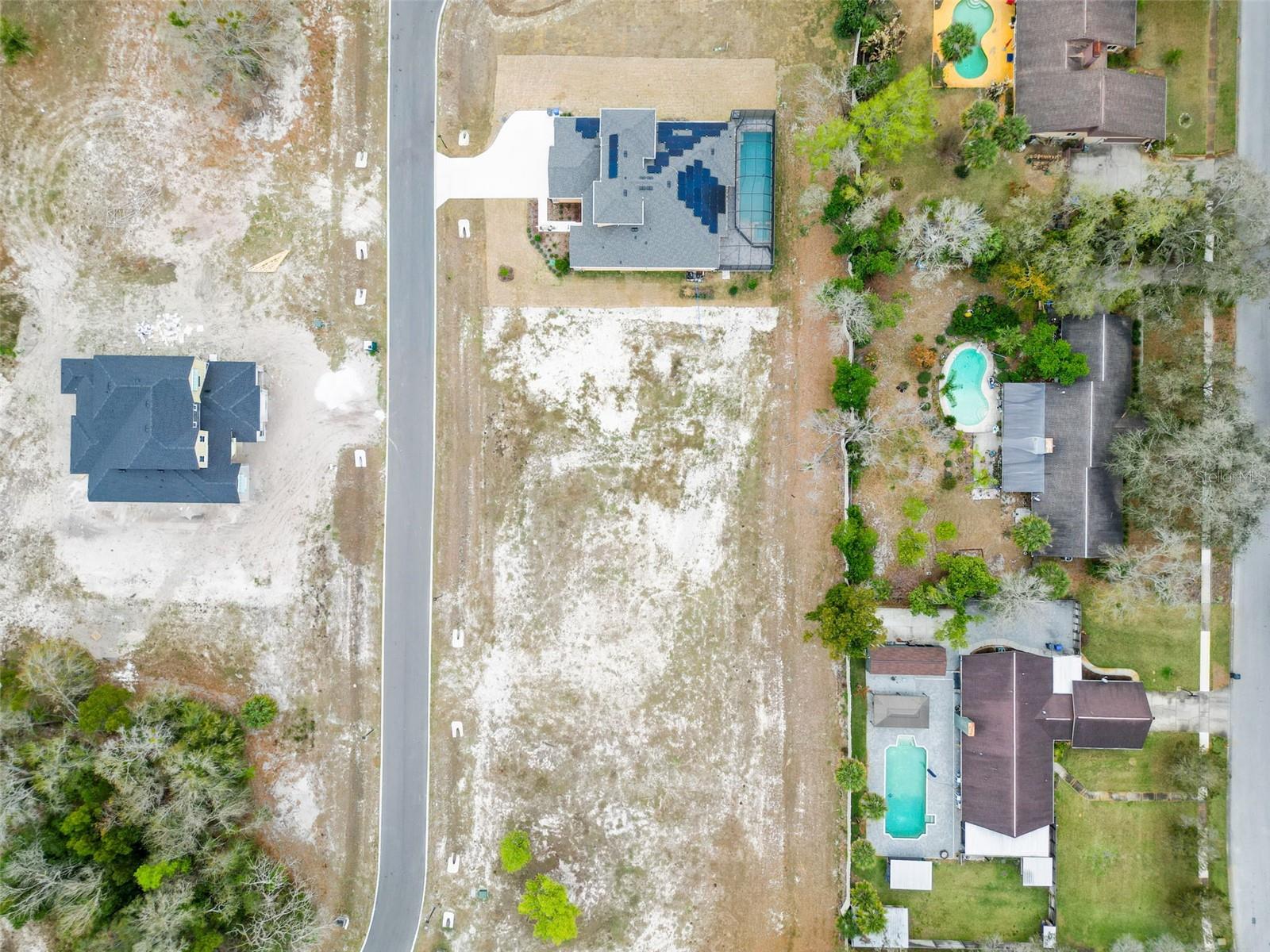 18442 PURPLE CREEK LN, LUTZ, FL — photo 6