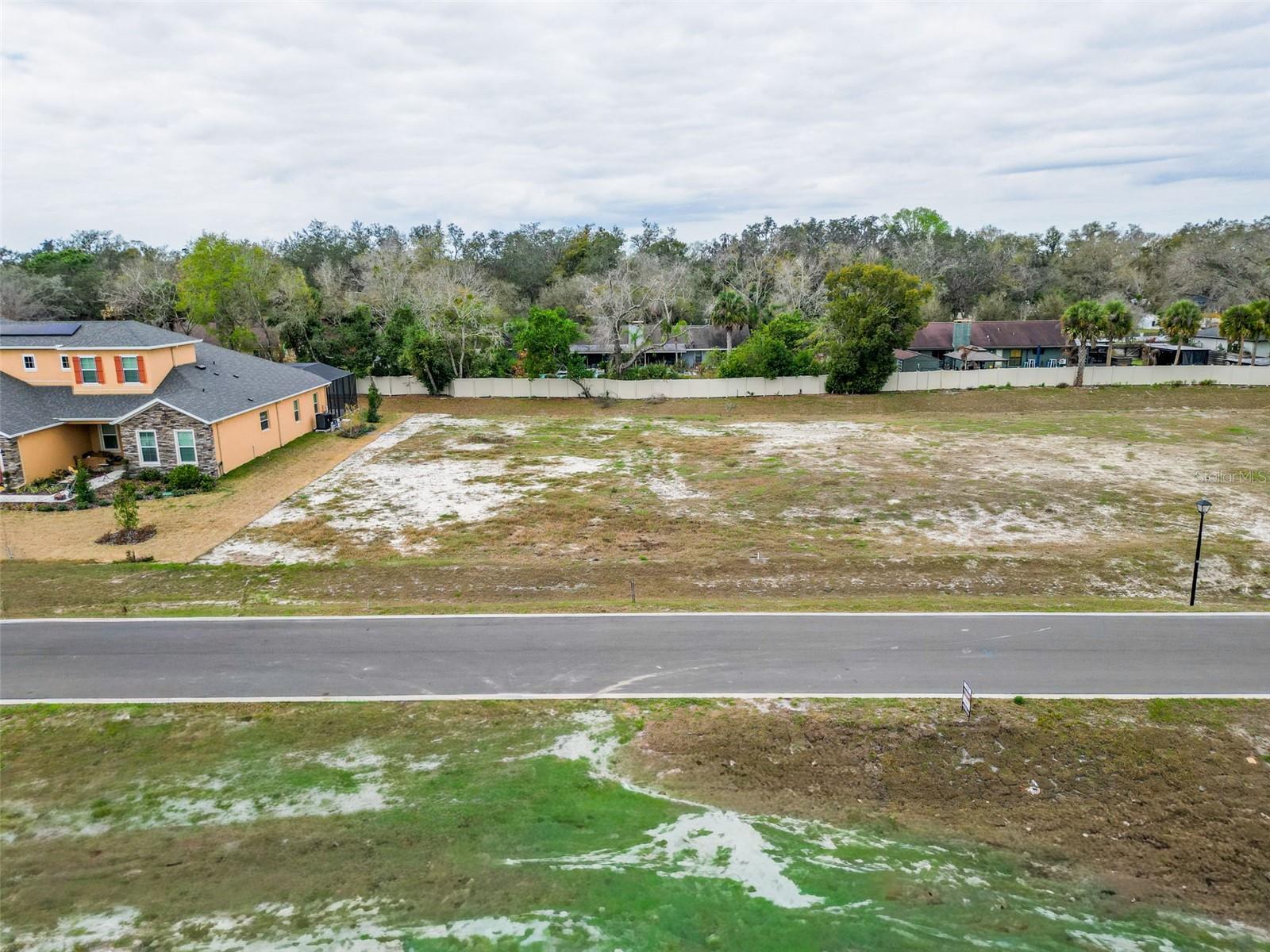 18442 PURPLE CREEK LN, LUTZ, FL — photo 8