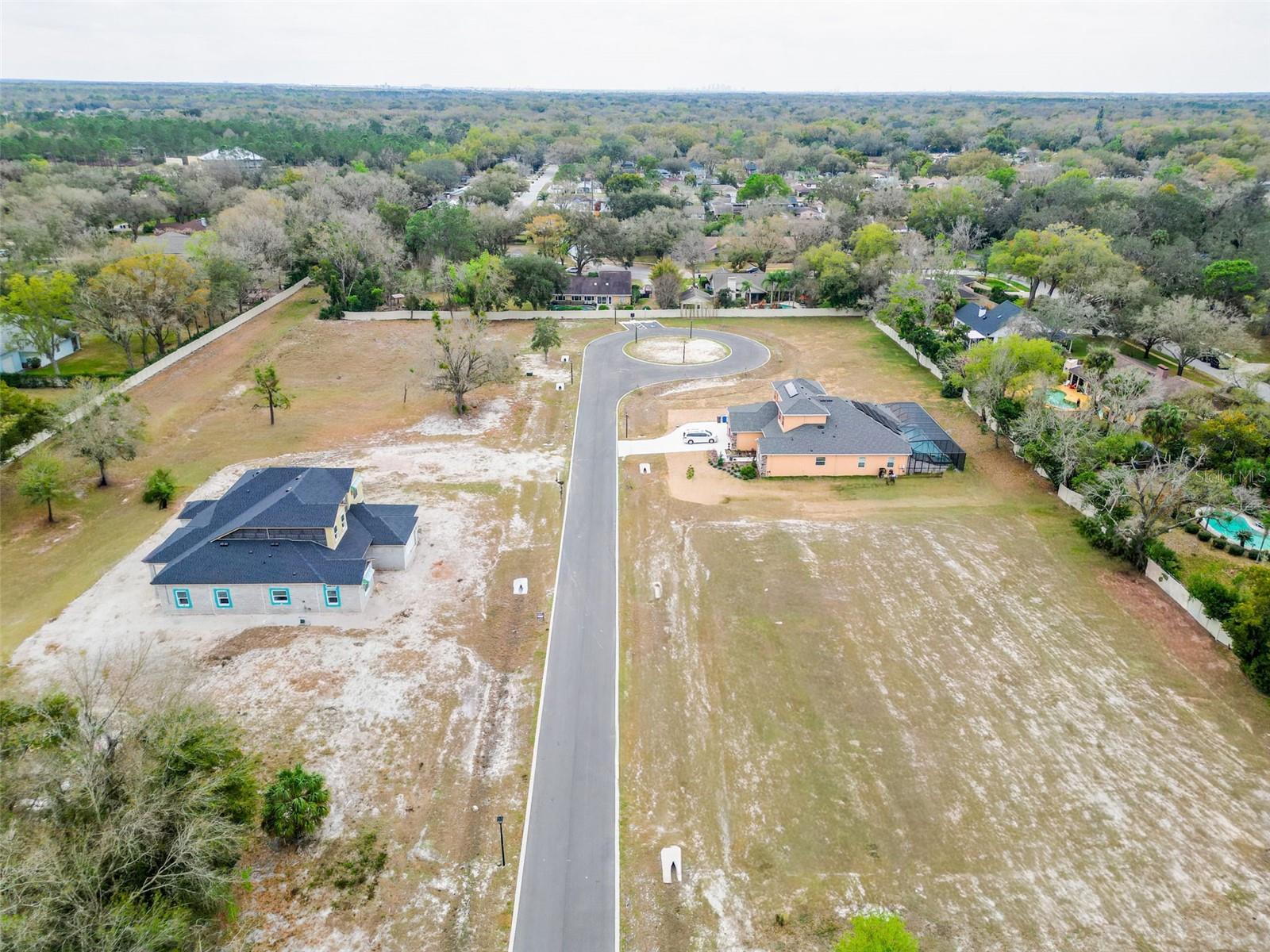 18442 PURPLE CREEK LN, LUTZ, FL — photo 12