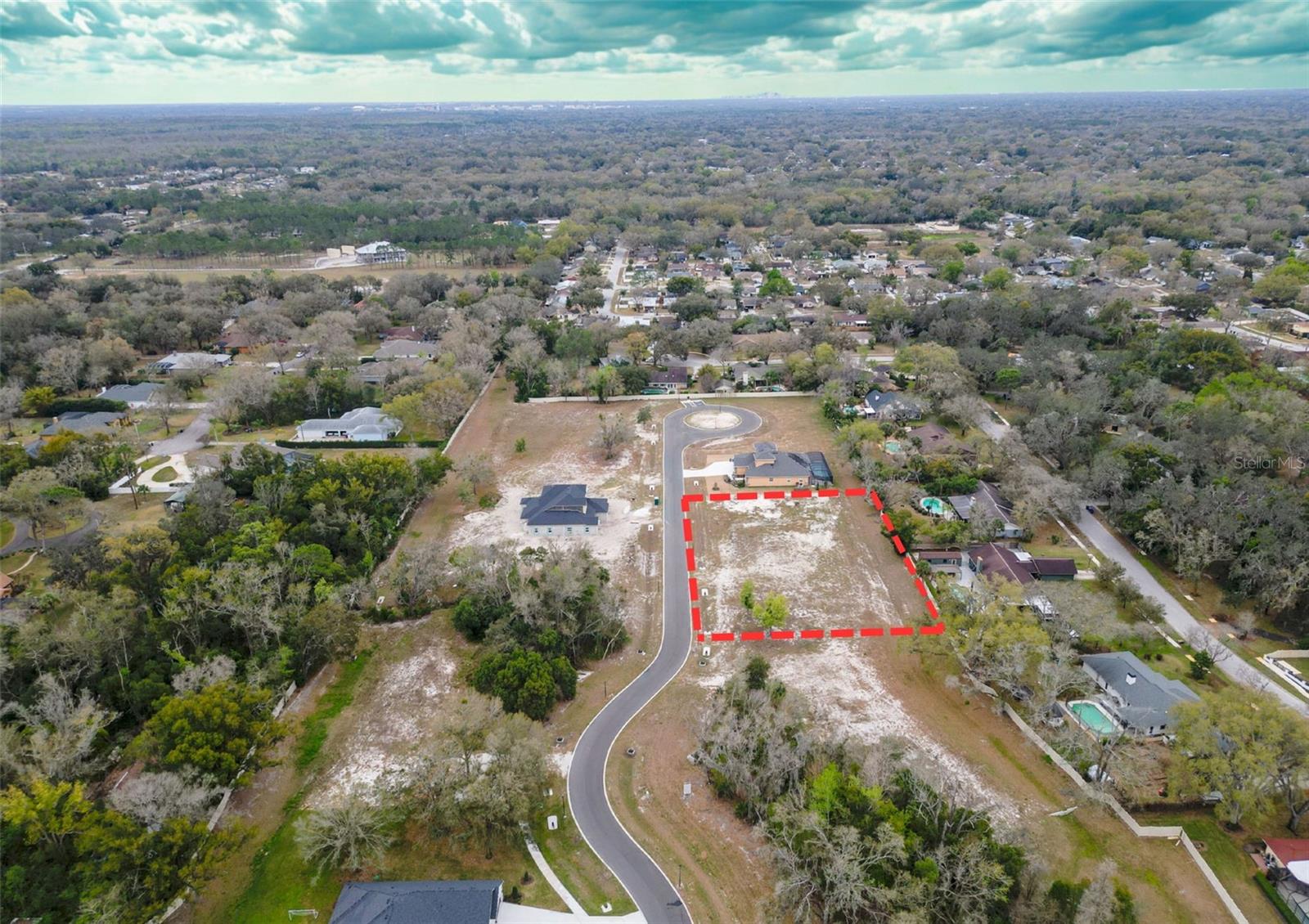 18442 PURPLE CREEK LN, LUTZ, FL — photo 20