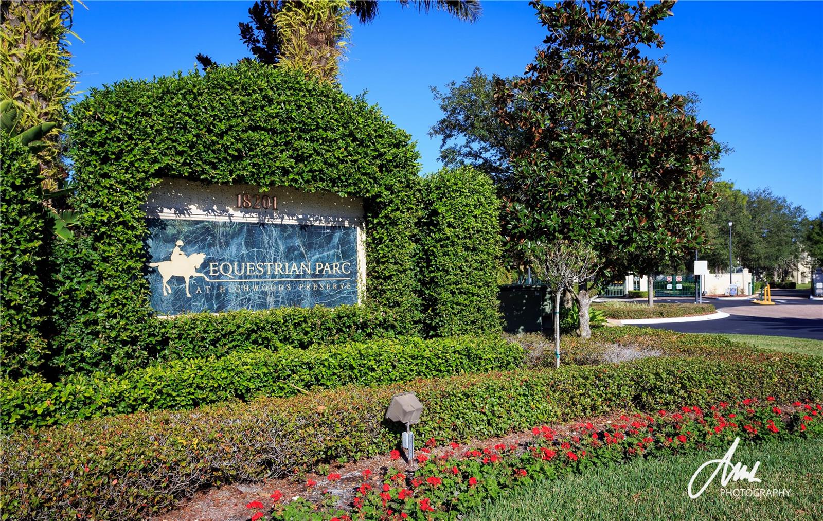 18311 BRIDLE CLUB DR, TAMPA, FL — photo 29
