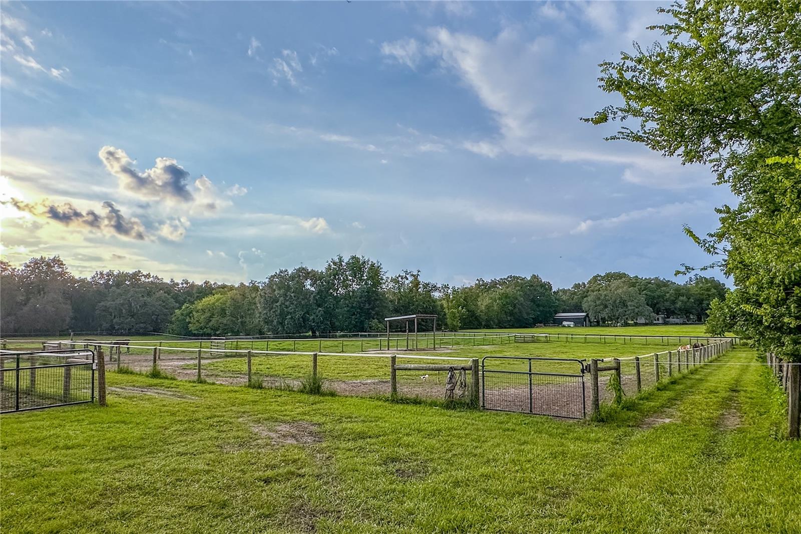 16242 NW 130TH ST, WILLISTON, FL — photo 8