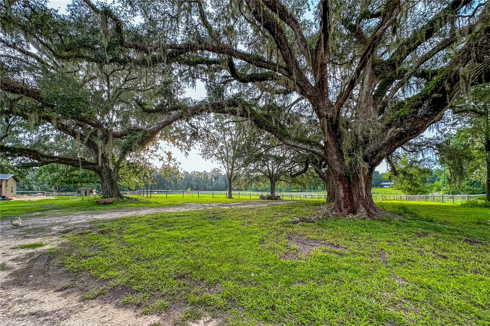 16242 NW 130TH ST, WILLISTON, FL — photo 9