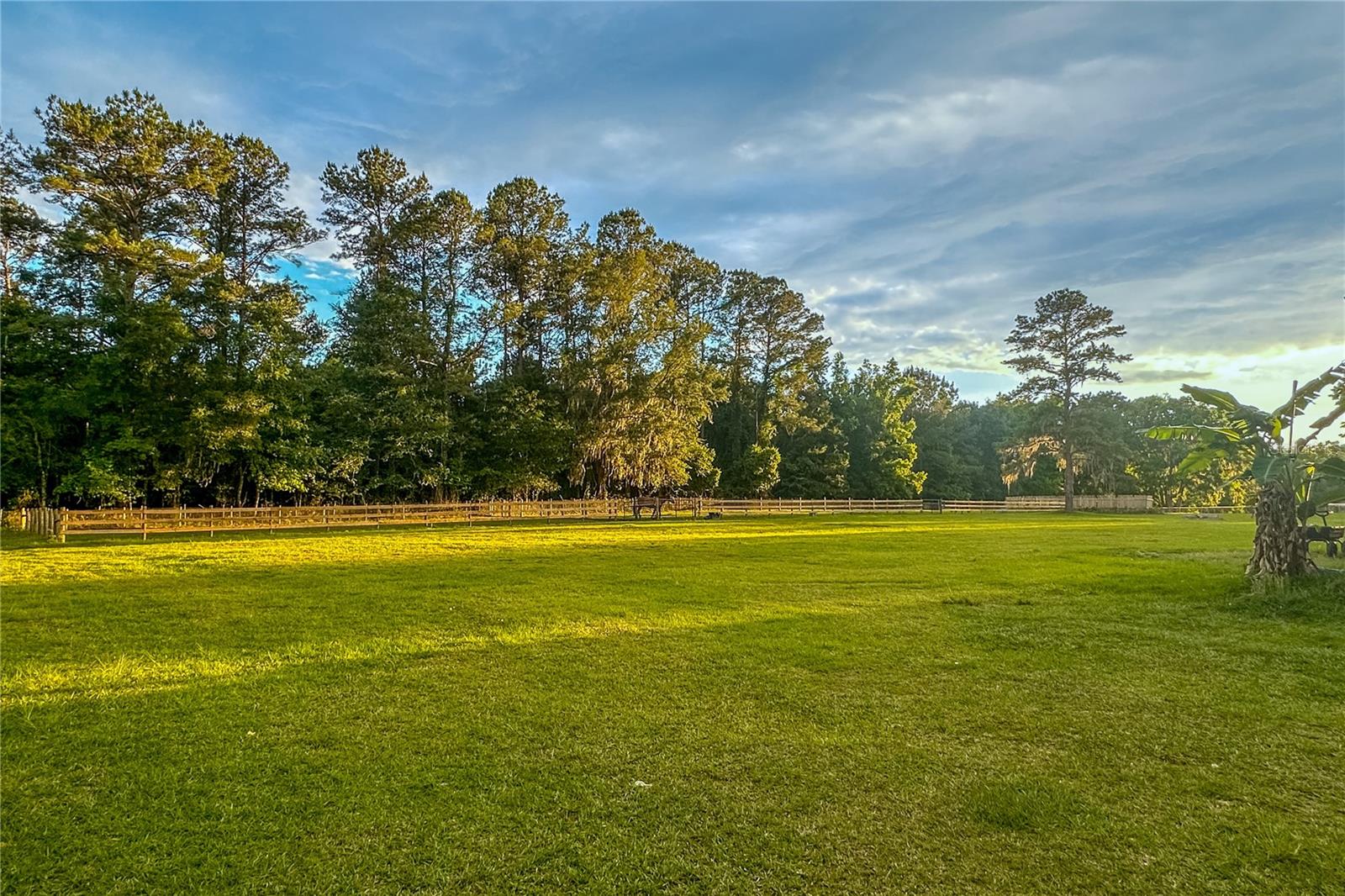 16242 NW 130TH ST, WILLISTON, FL — photo 15