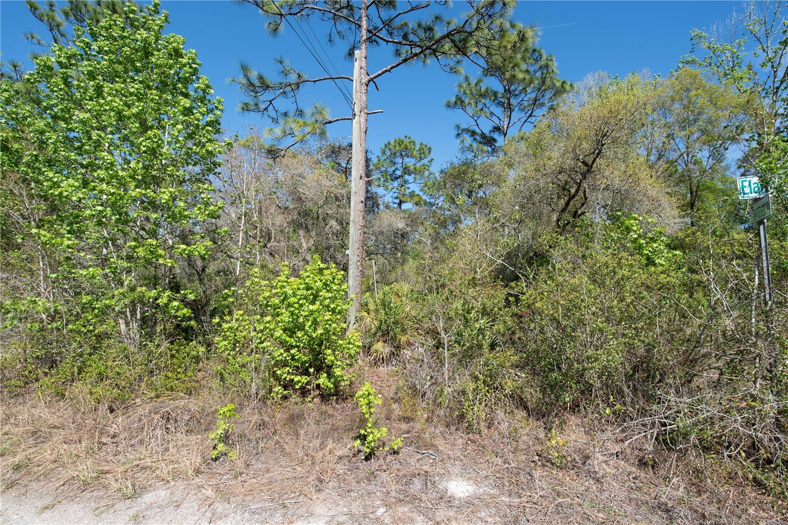 12934 TANNER RD, NEW PORT RICHEY, FL — photo 2