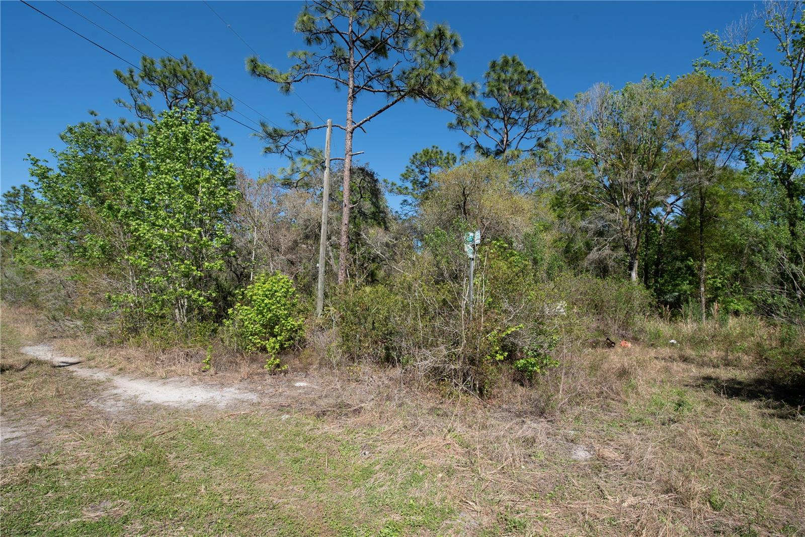12934 TANNER RD, NEW PORT RICHEY, FL — photo 4