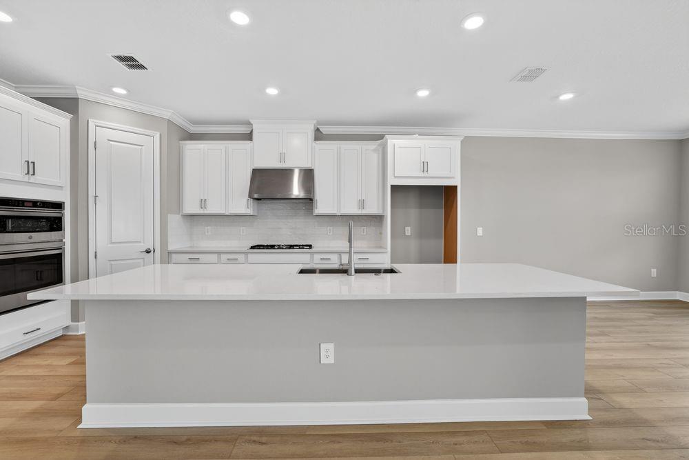 14223 SAWMILL ST, PARRISH, FL — photo 2