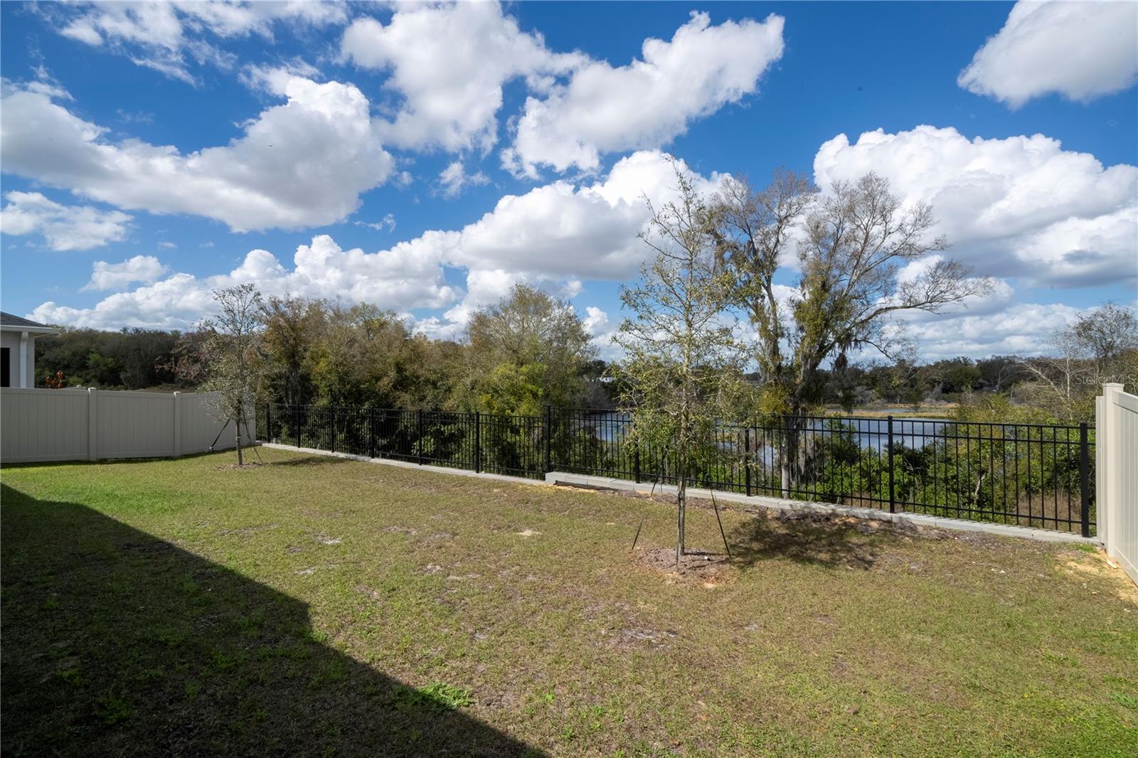 734 CREEPING FIG ST, APOPKA, FL — photo 60