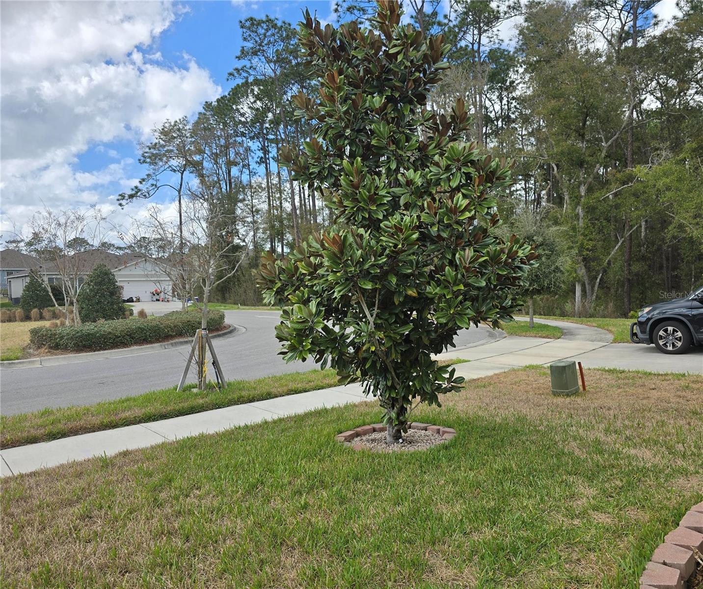 532 EMILY GLEN ST, DELAND, FL — photo 7
