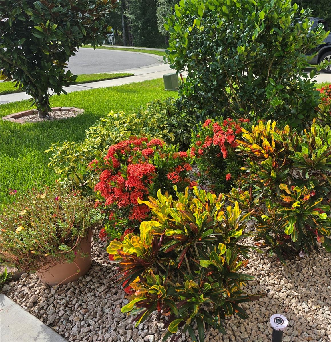 532 EMILY GLEN ST, DELAND, FL — photo 8