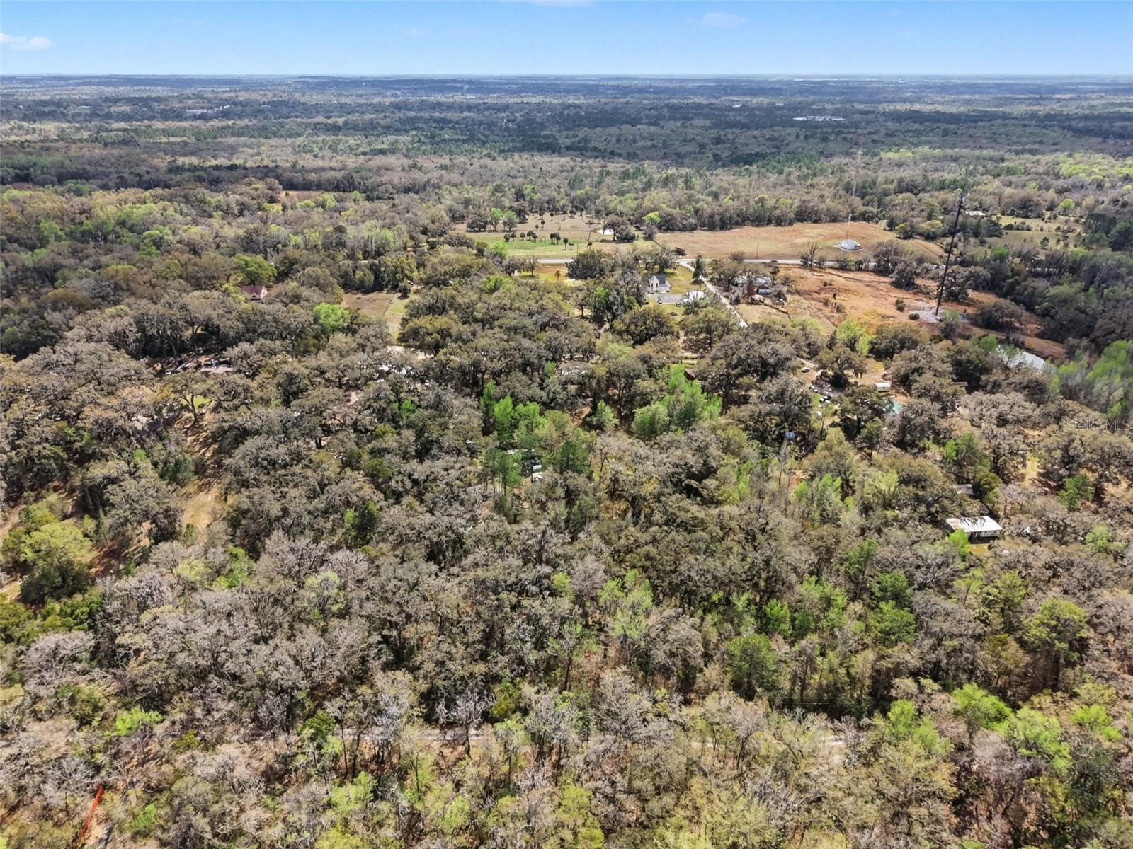 10423 CHEEVER RD, BROOKSVILLE, FL — photo 31