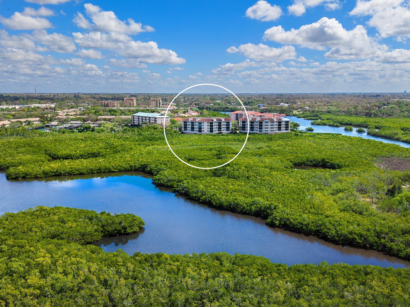 5420 EAGLES POINT CIR #106, SARASOTA, FL — photo 48