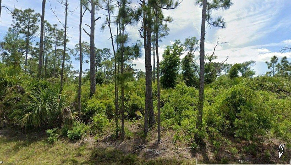 12149 BENHAM AVE, PORT CHARLOTTE, FL