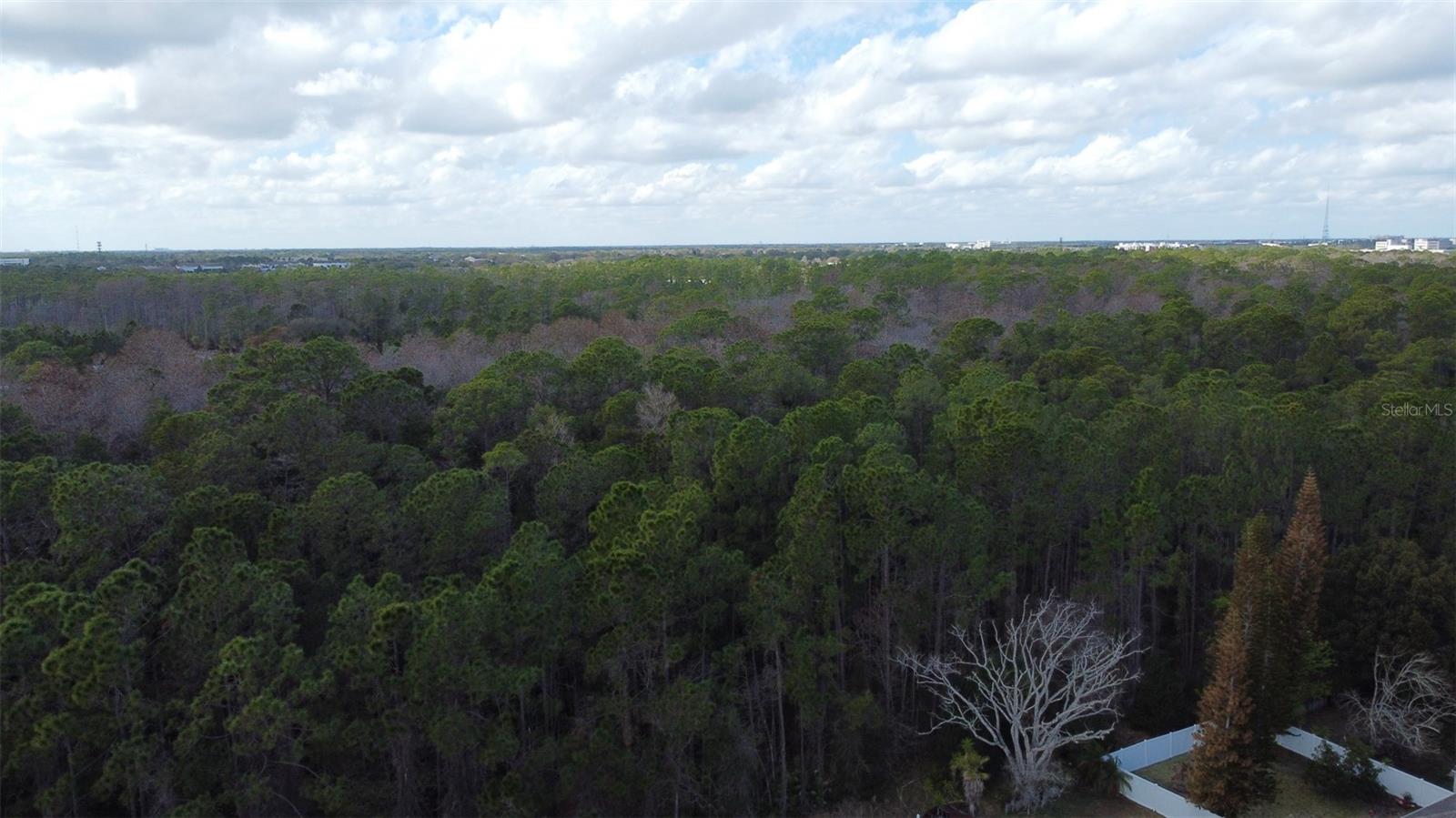 1902 PALMETTO PINE LN, ORLANDO, FL — photo 36