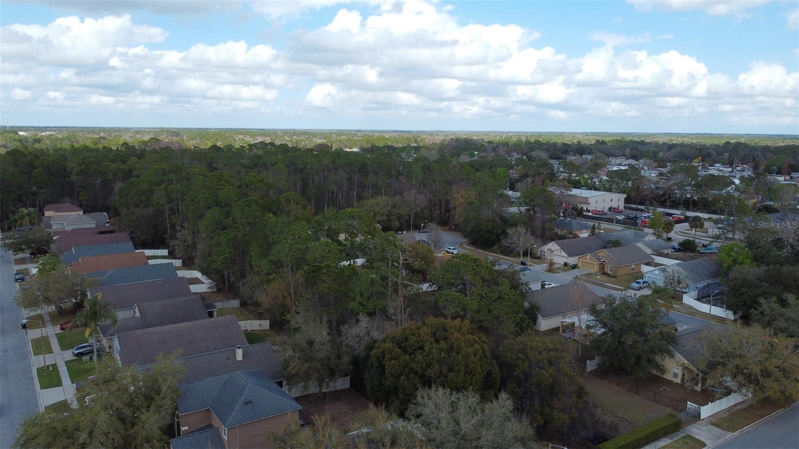 1902 PALMETTO PINE LN, ORLANDO, FL — photo 38