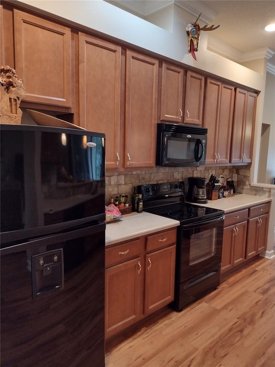 2006 BAYSIDE AVE, MOUNT DORA, FL — photo 14