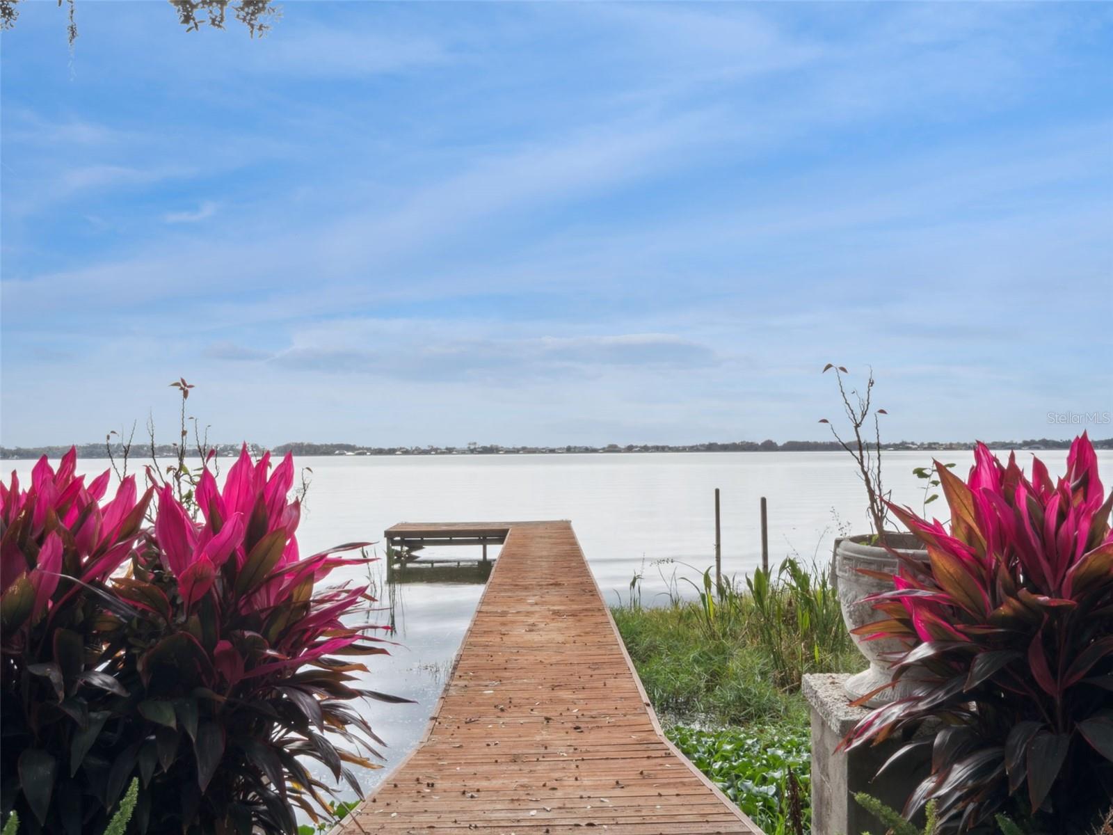 1490 LAKESHORE DR, MOUNT DORA, FL — photo 88