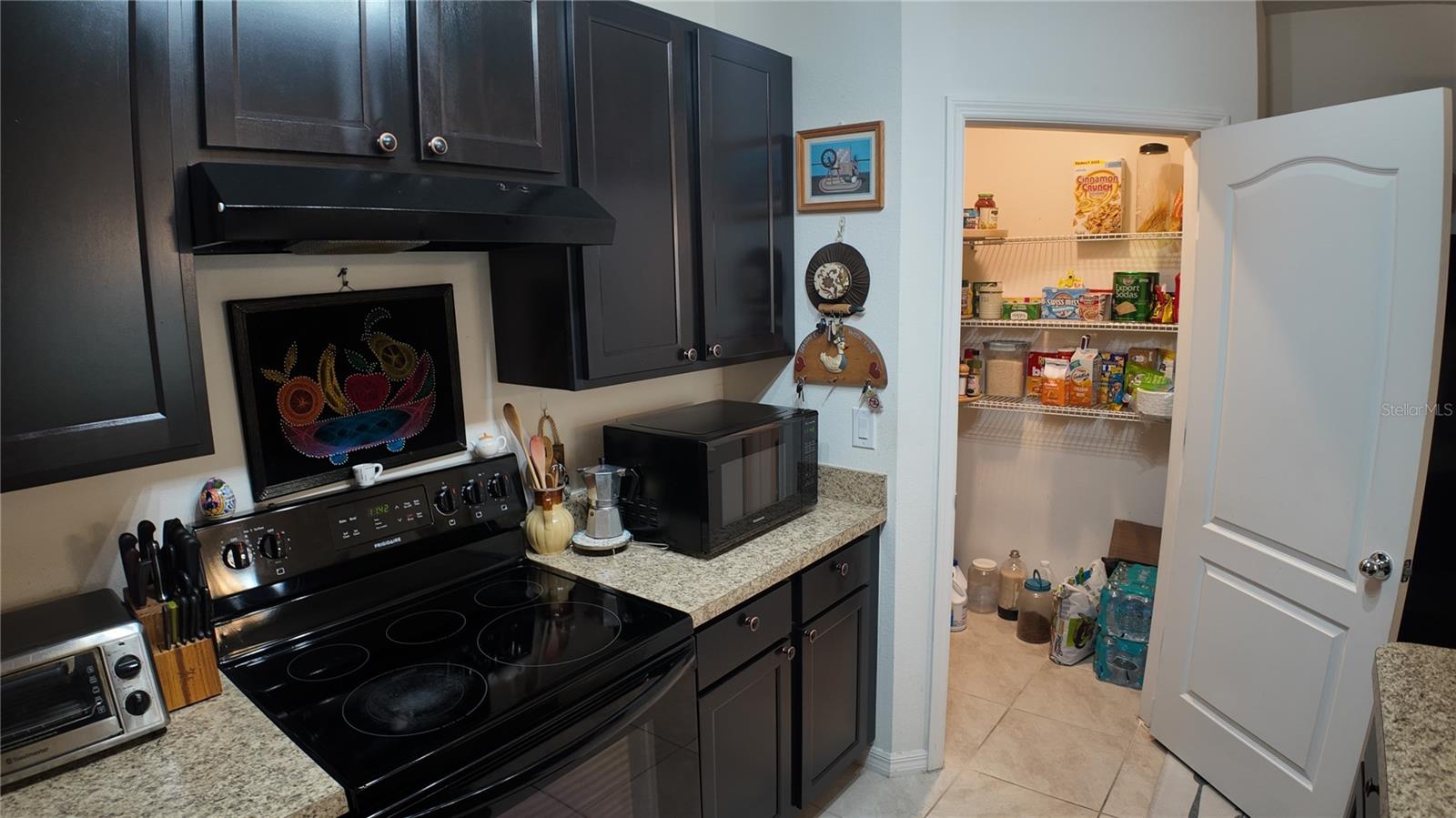 35045 SWEET LEAF LN, LEESBURG, FL — photo 15