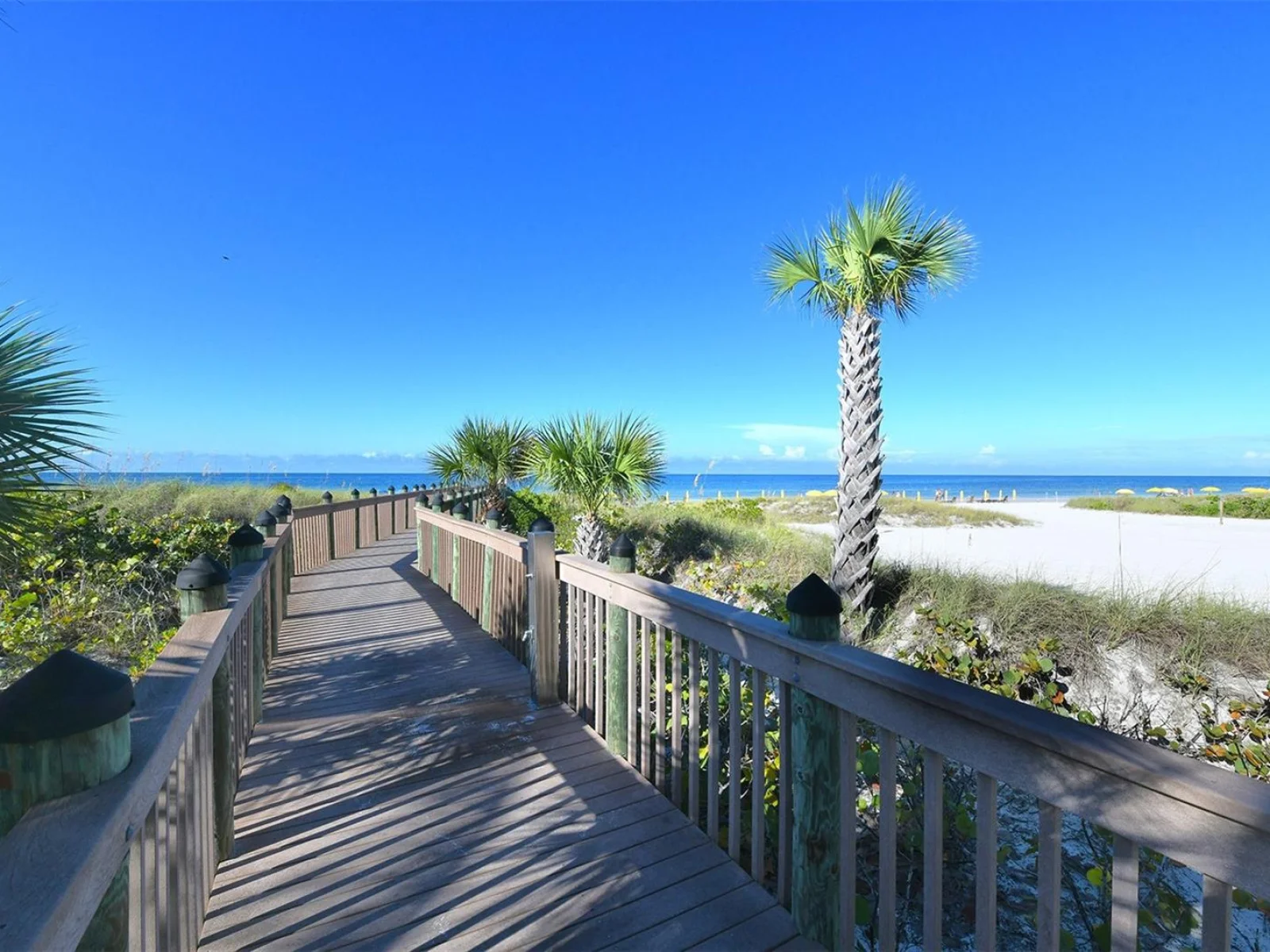 915 SEASIDE DR #504, Weeks 6-7, SARASOTA, FL — photo 46