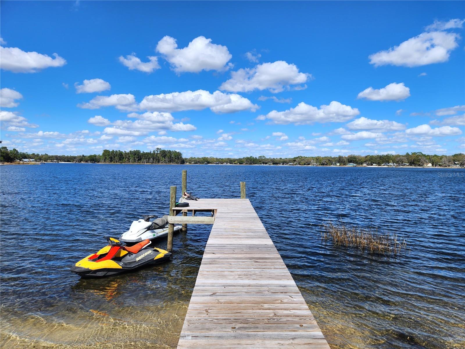 10915 NE 222ND ST, FORT MC COY, FL — photo 25