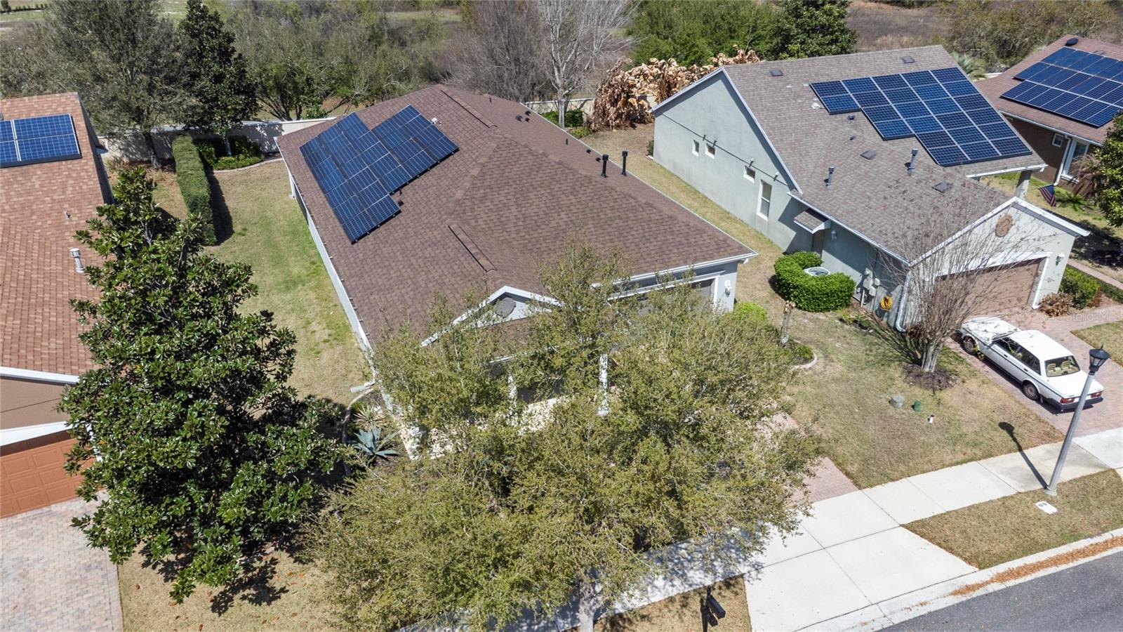 389 SILVER MAPLE RD, GROVELAND, FL — photo 13