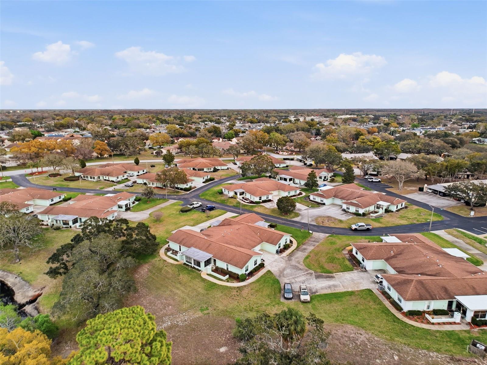 11341 DOLLAR LAKE DR #1, PORT RICHEY, FL — photo 53