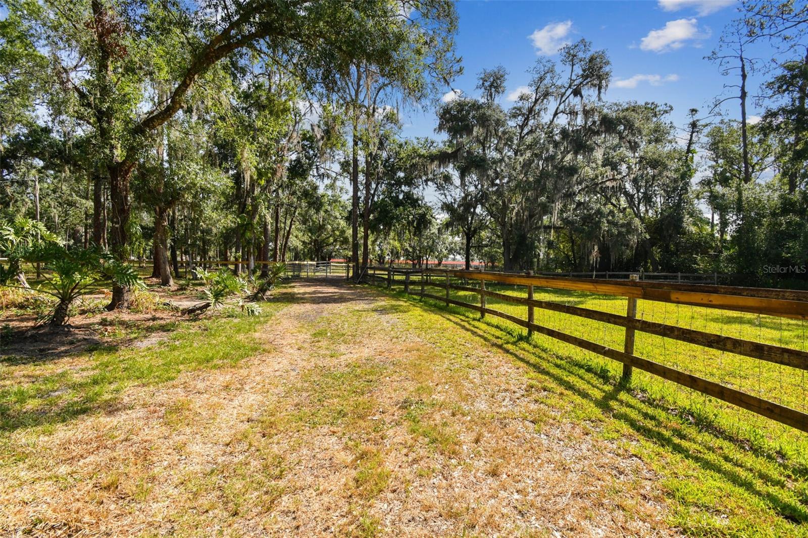 2853-2879 SAFFOLD RD, WIMAUMA, FL — photo 4