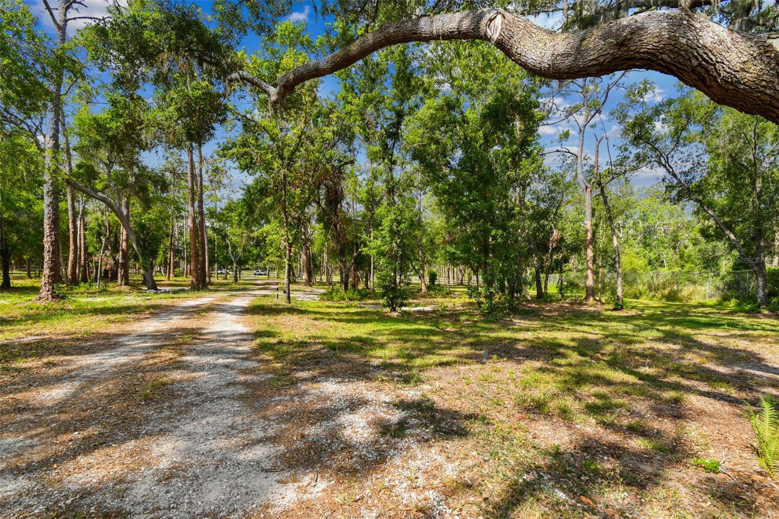 2853-2879 SAFFOLD RD, WIMAUMA, FL — photo 11